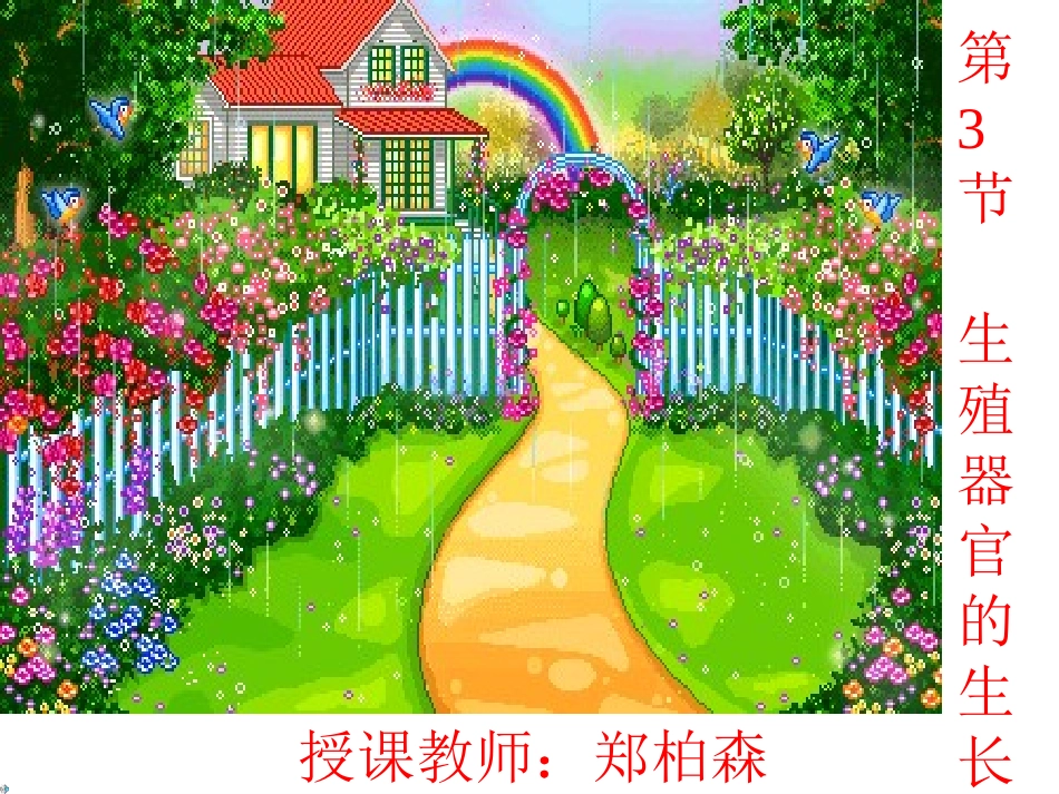 花的生长过程视屏_第2页