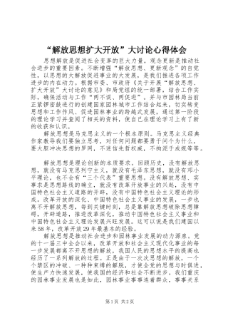 解放思想扩大开放大讨论心得体会