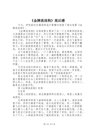 金牌流浪狗观后感