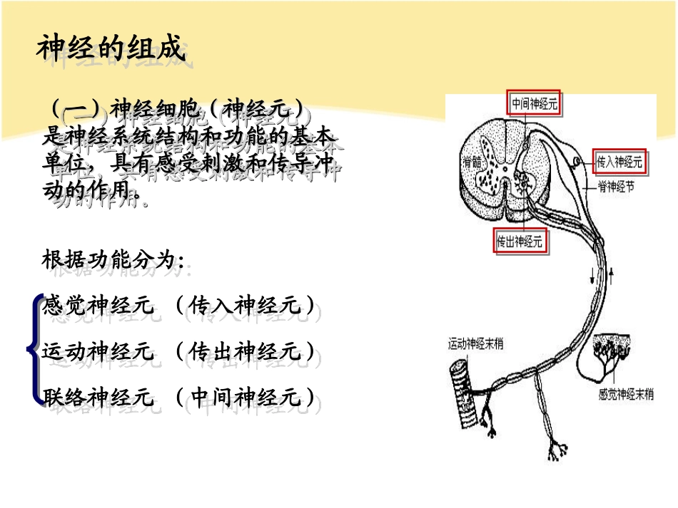 肌萎缩侧索硬化病人的护理查房_第2页