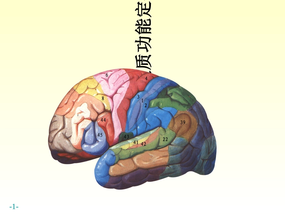 基底核边缘系统_第1页