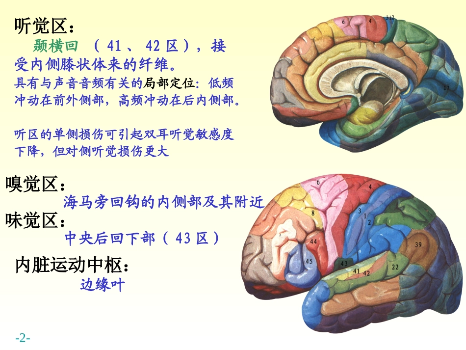 基底核边缘系统_第2页
