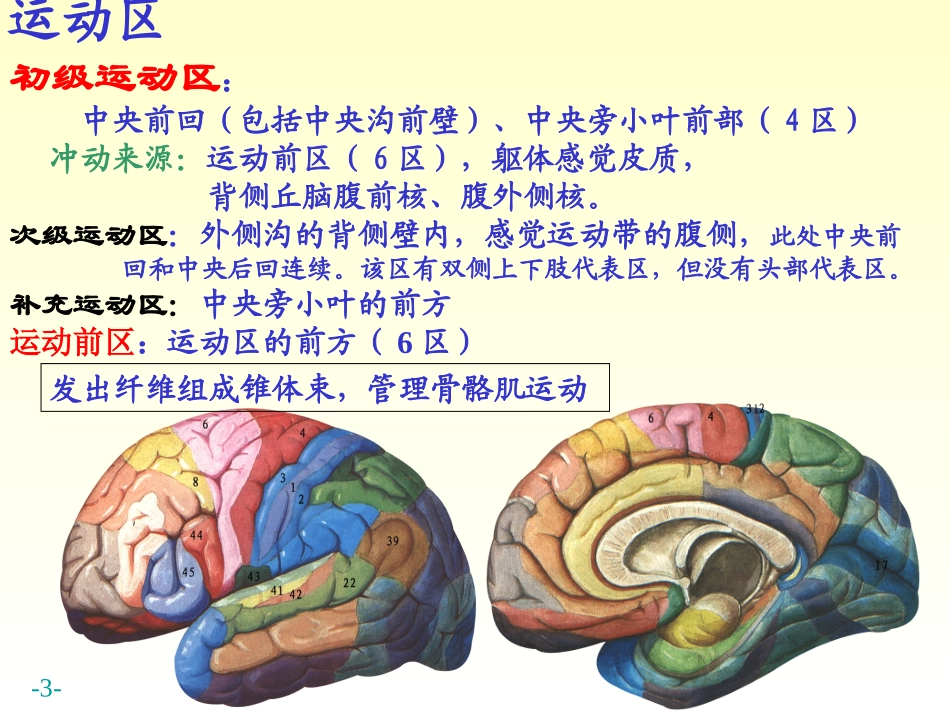 基底核边缘系统_第3页