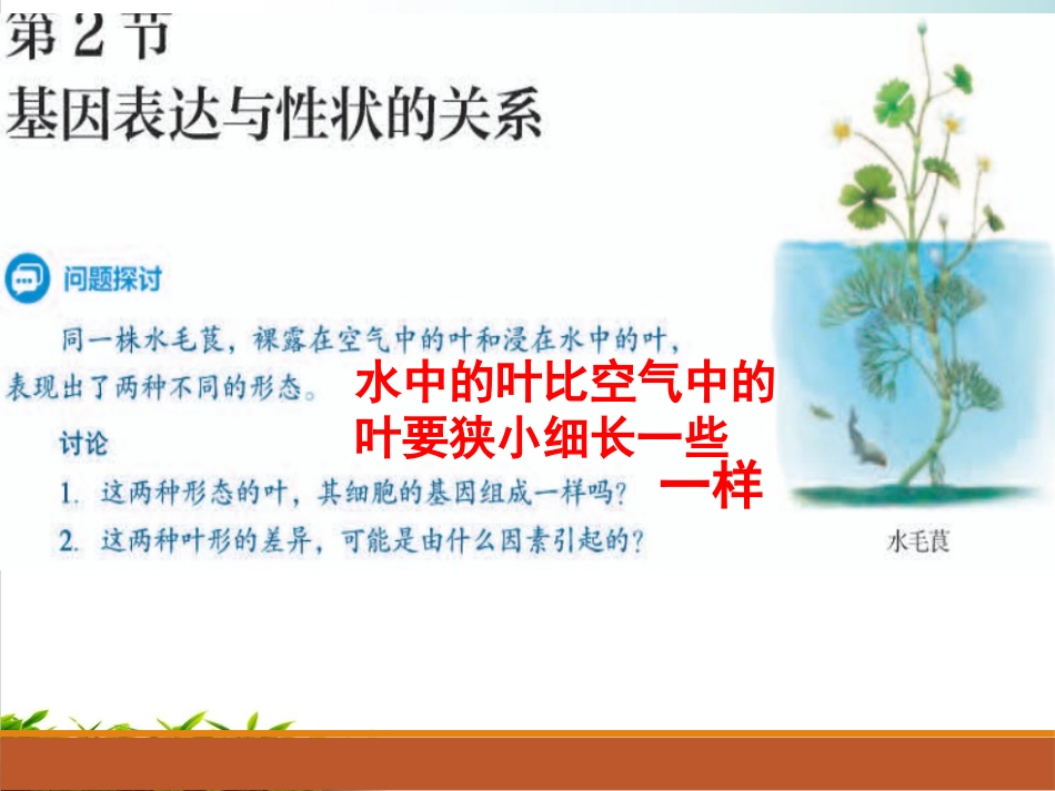 基因表达与性状的联系_第3页
