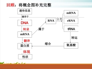 基因表达与性状的联系