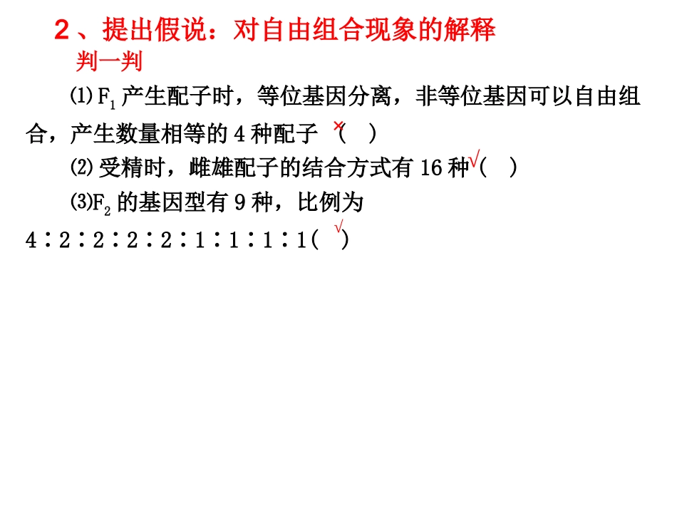 基因的自由组合定律_第3页