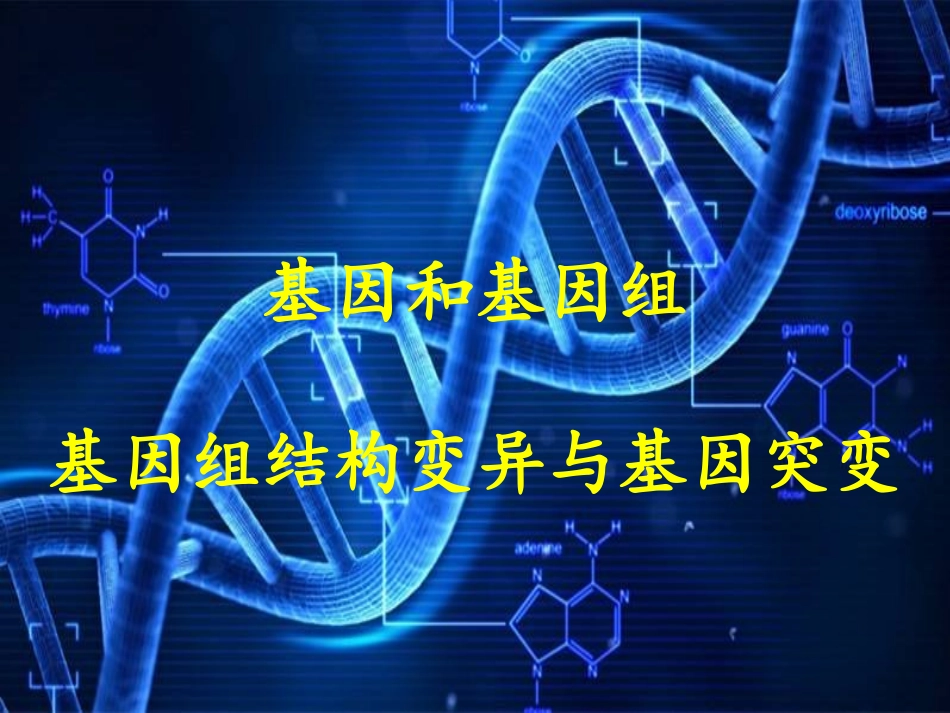 基因和基因组_第1页