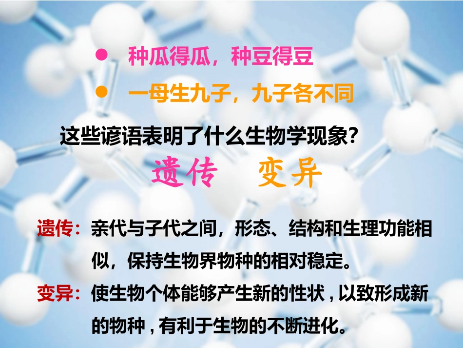 基因和基因组_第2页