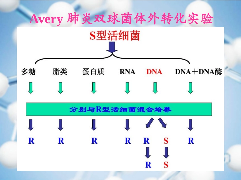 基因和基因组_第3页