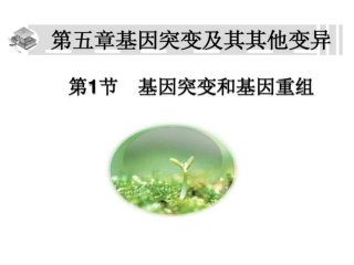 基因突变和基因重组