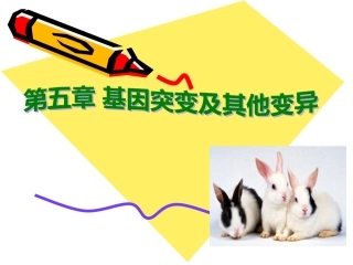 基因突变和基因重组整理