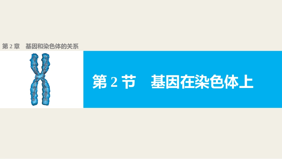 基因在染色体上_第1页