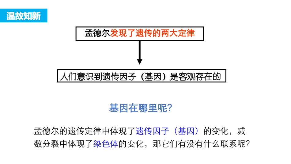基因在染色体上_第2页