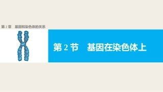 基因在染色体上