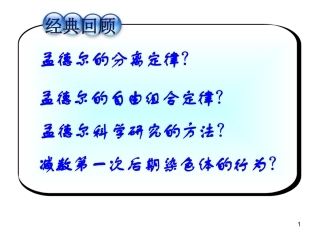 基因在染色体上课用