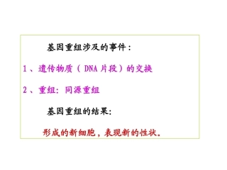 基因转移与重组概述