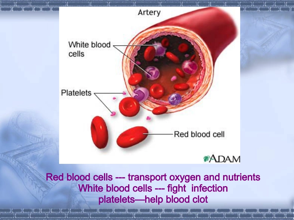 急性白血病课件_第3页