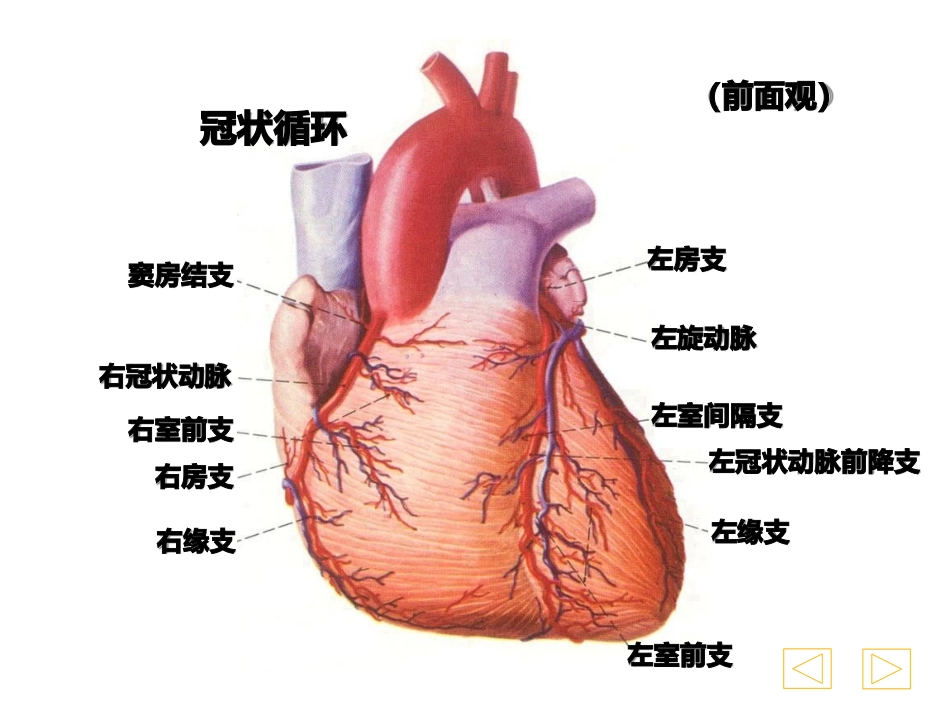 急性心肌梗死心电图判读_第3页