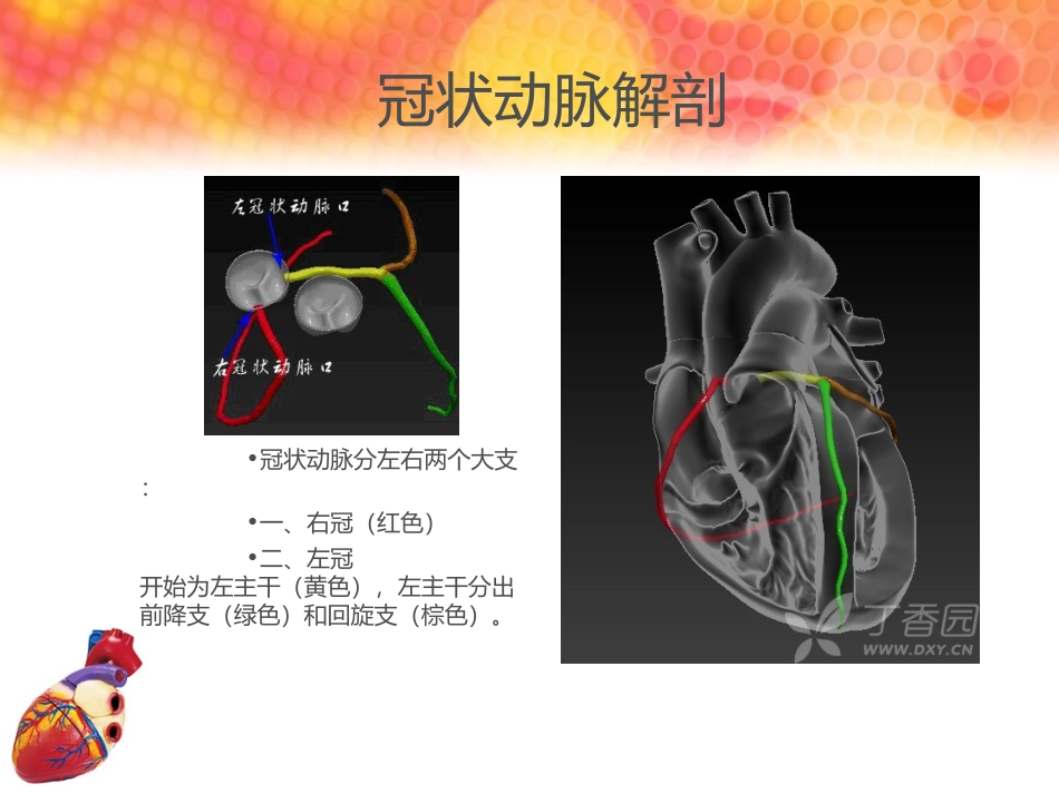 急性心肌梗死罪犯血管的心电图判断讲义_第3页