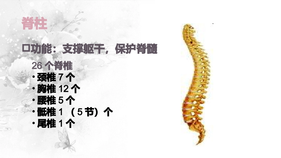 脊髓损伤的护理_第2页