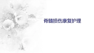 脊髓损伤的护理