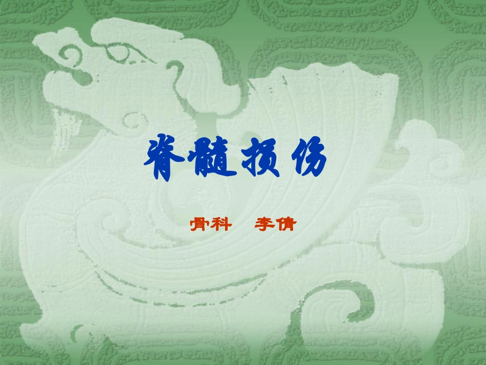 脊髓损伤康复全解_第1页