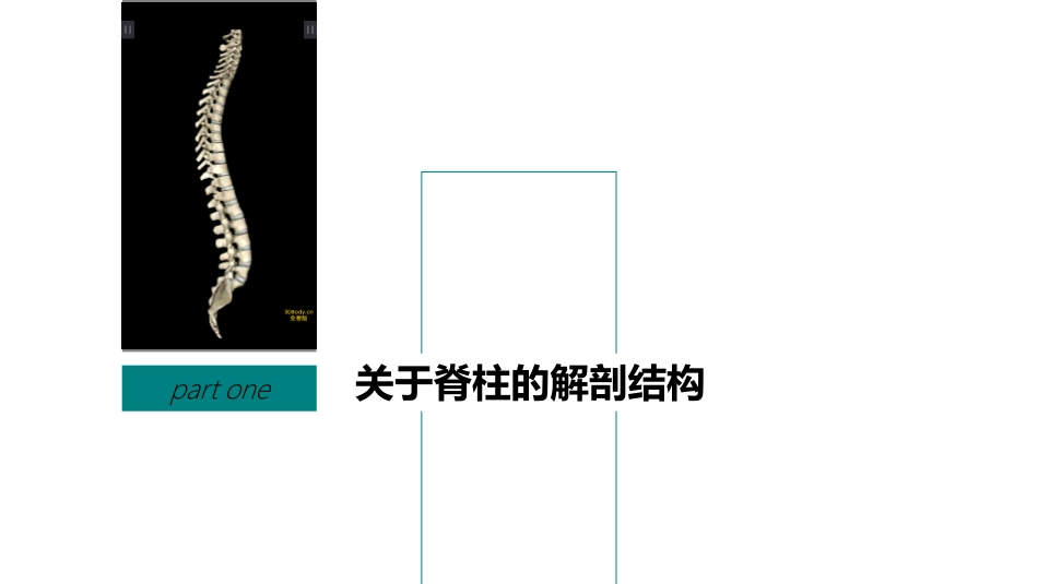 脊髓损伤课件_第3页