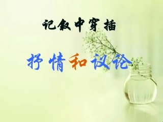 记叙中结合抒情议论实用