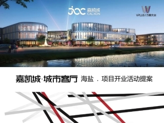 嘉凯城开业提报方案