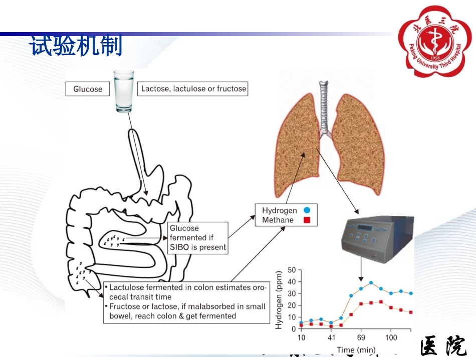 甲烷氢呼气试验_第3页
