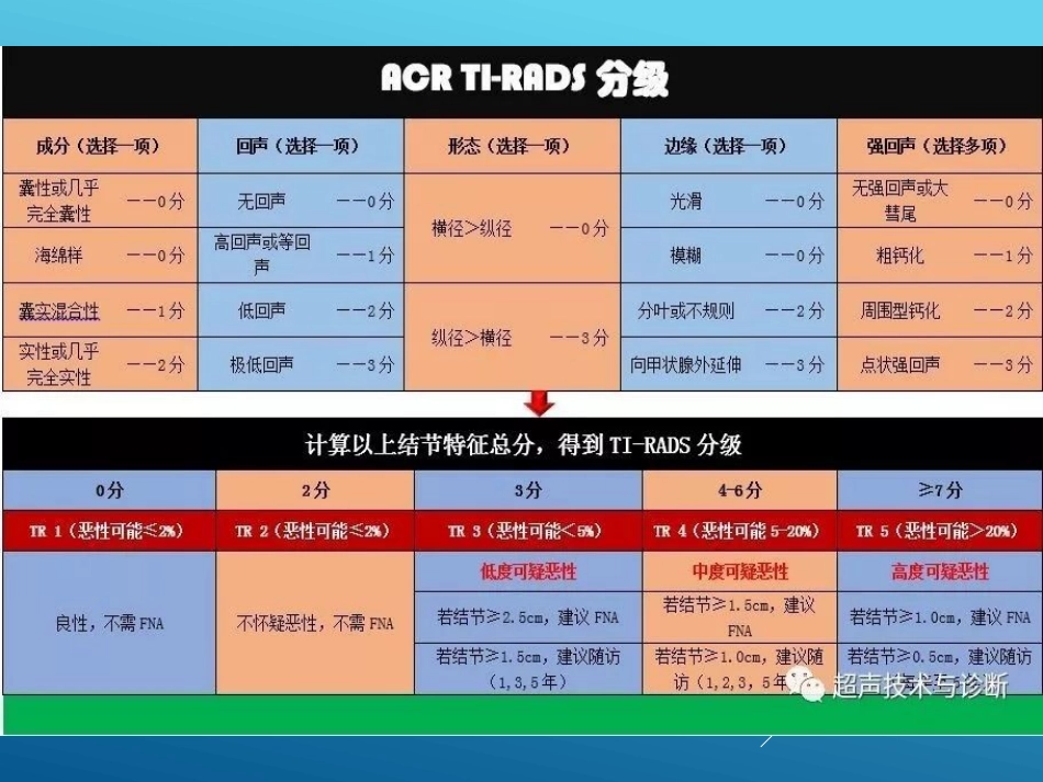 甲状腺TIRADS分类_第3页