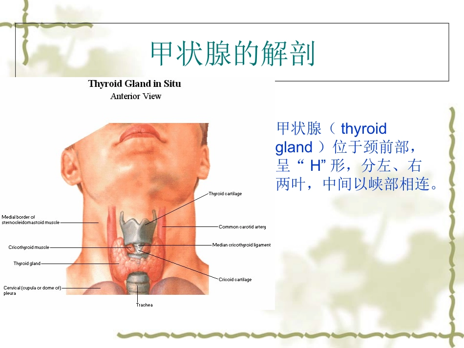 甲状腺疾病的影像学表现_第2页