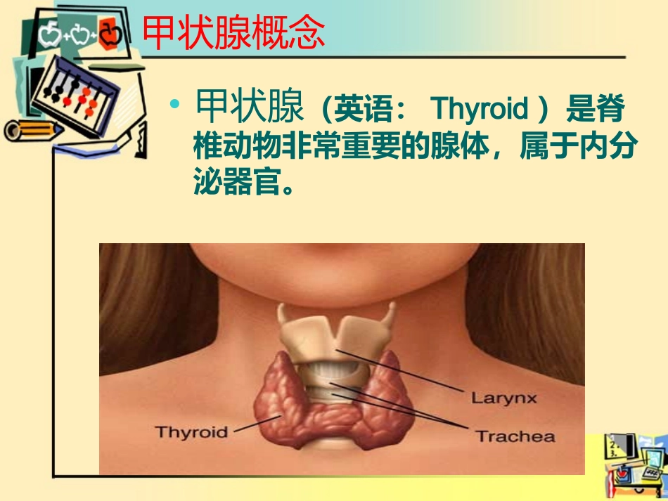 甲状腺围手术期的护理_第2页