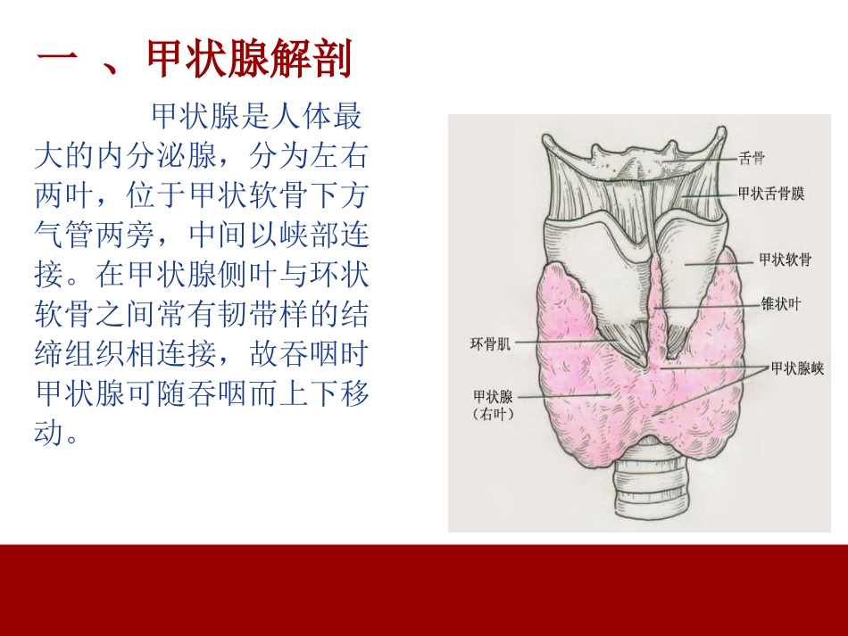 甲状腺围手术期的护理课件_第3页