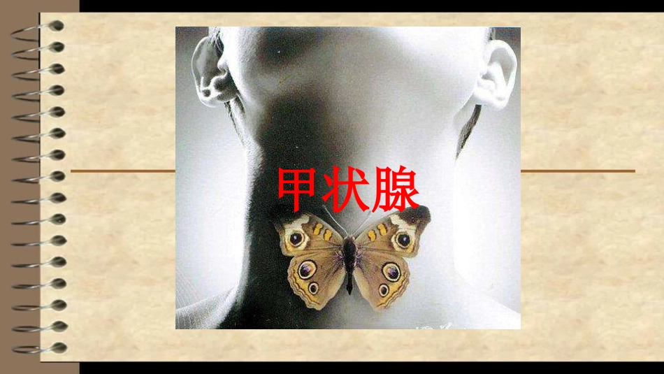 甲状腺吴旭威_第2页