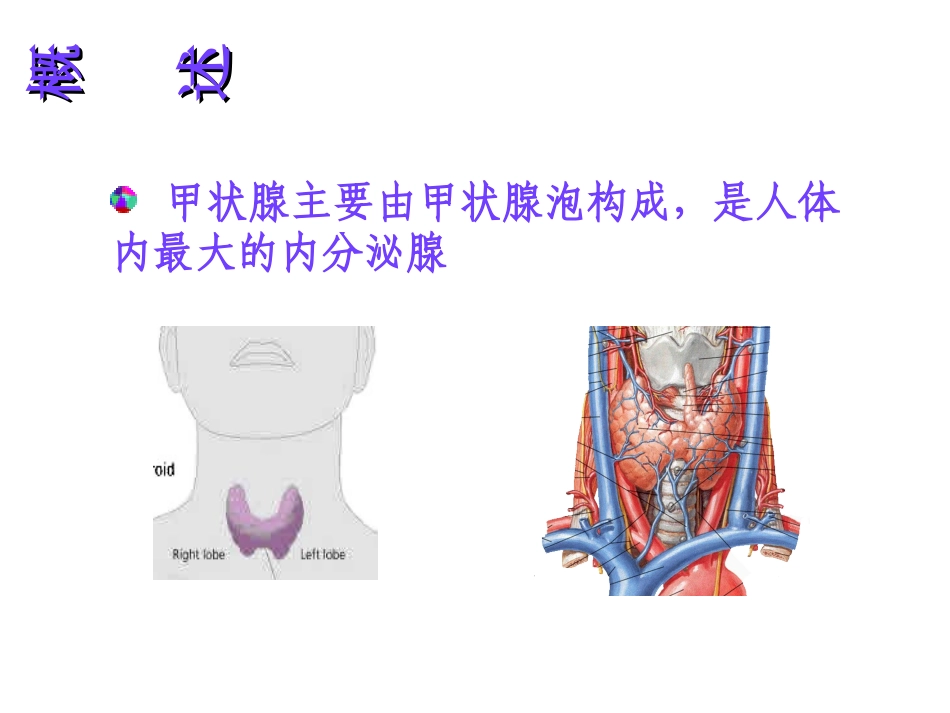 甲状腺肿大上课_第2页