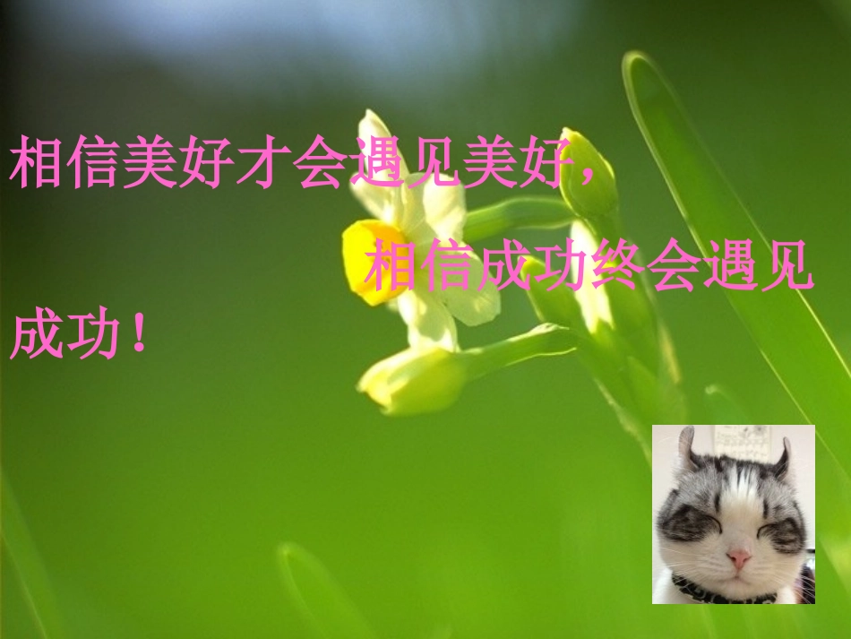 价格变动的影响我_第1页