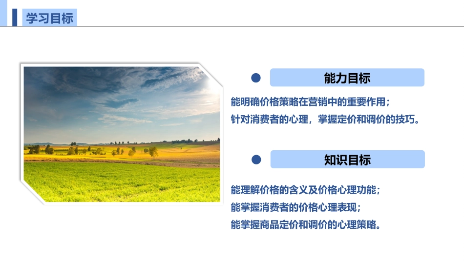 价格策略与消费心理_第2页