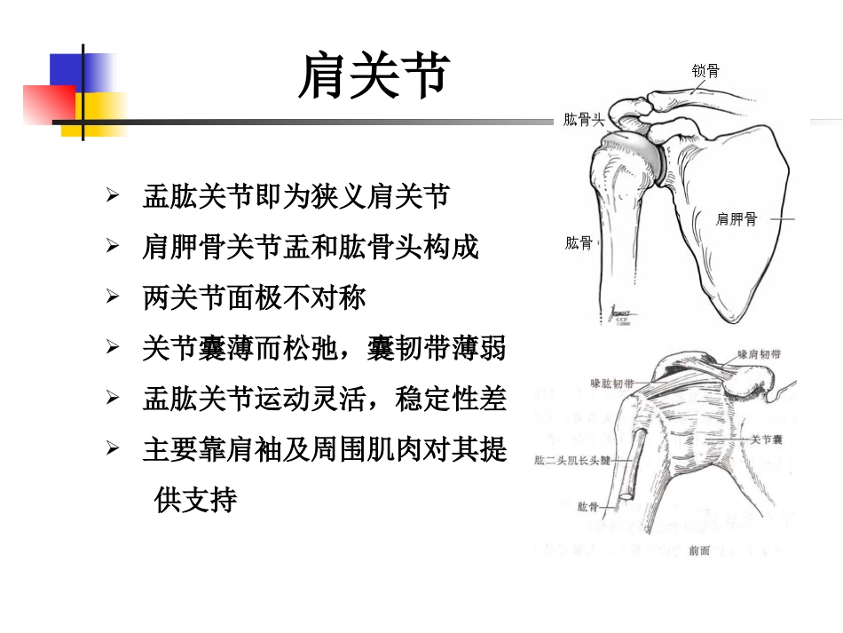 肩关节盂唇损伤_第2页