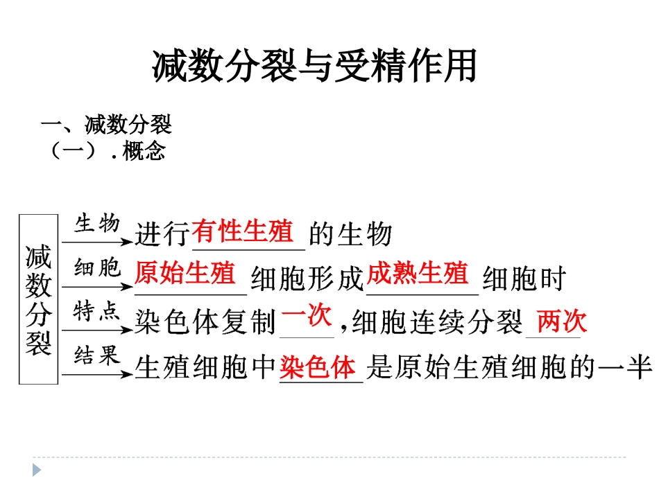 减数分裂与受精作用_第1页