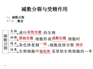 减数分裂与受精作用