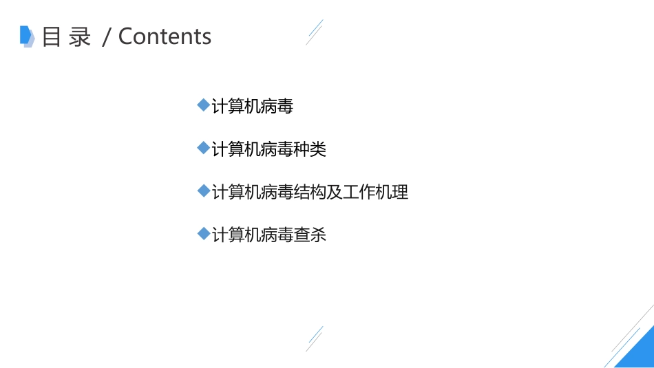 简谈计算机病毒_第2页