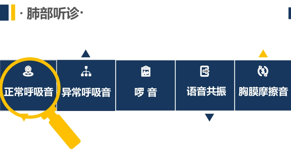 健康评估肺脏听诊_第3页