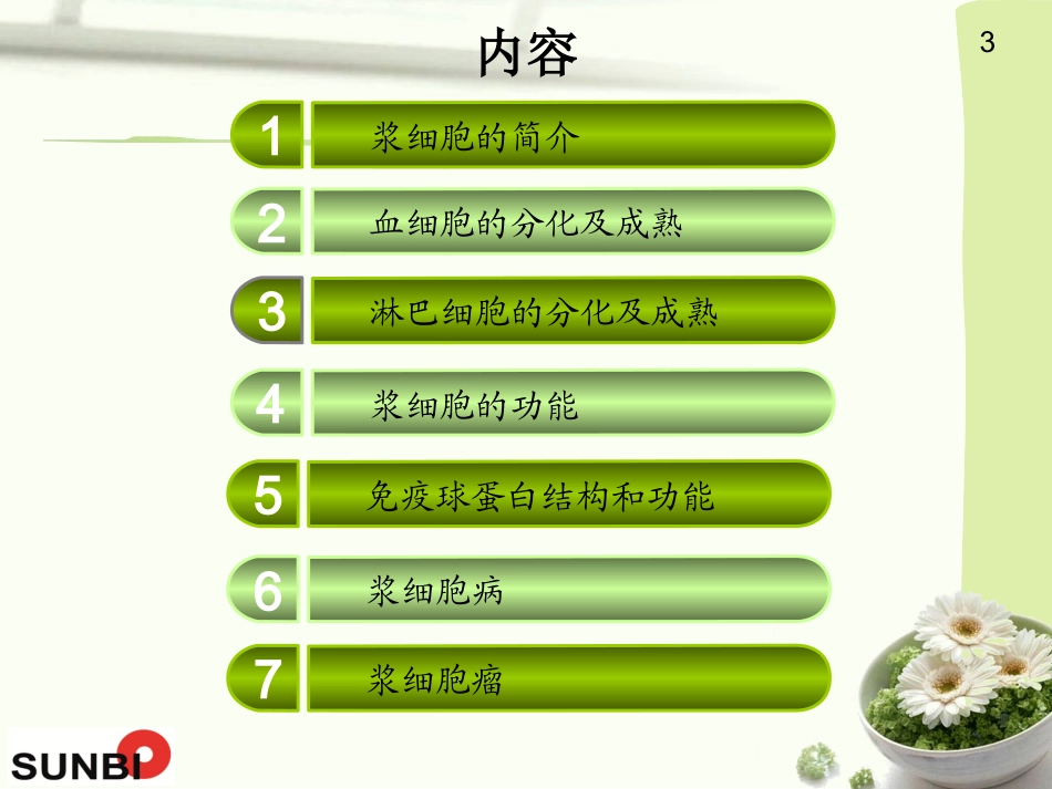 浆细胞瘤描述_第3页