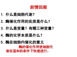 降低反应活化能的酶
