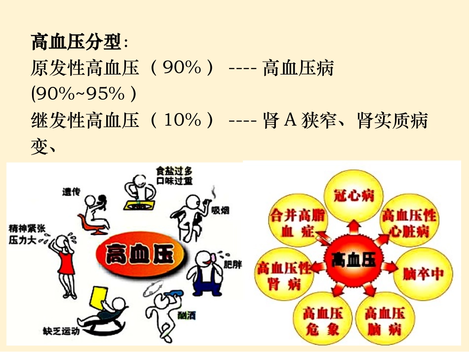 降压药药理学_第2页