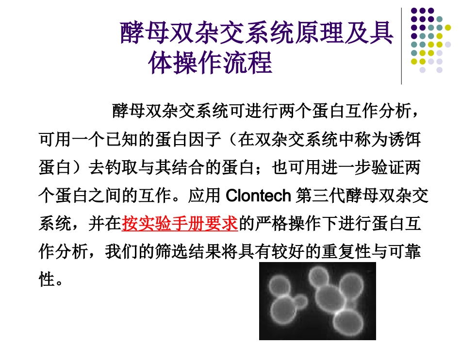 酵母双杂交原理与实验具体流程_第1页