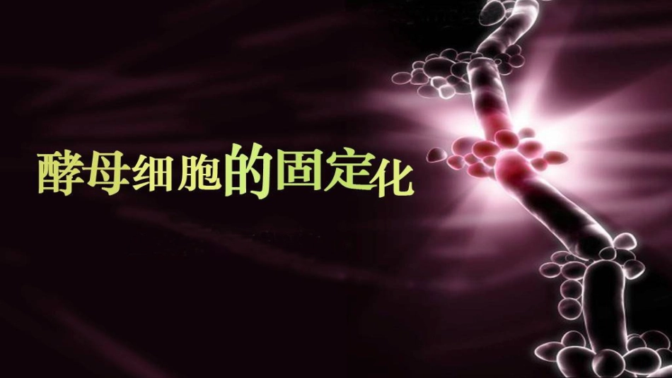 酵母细胞的固定化_第1页