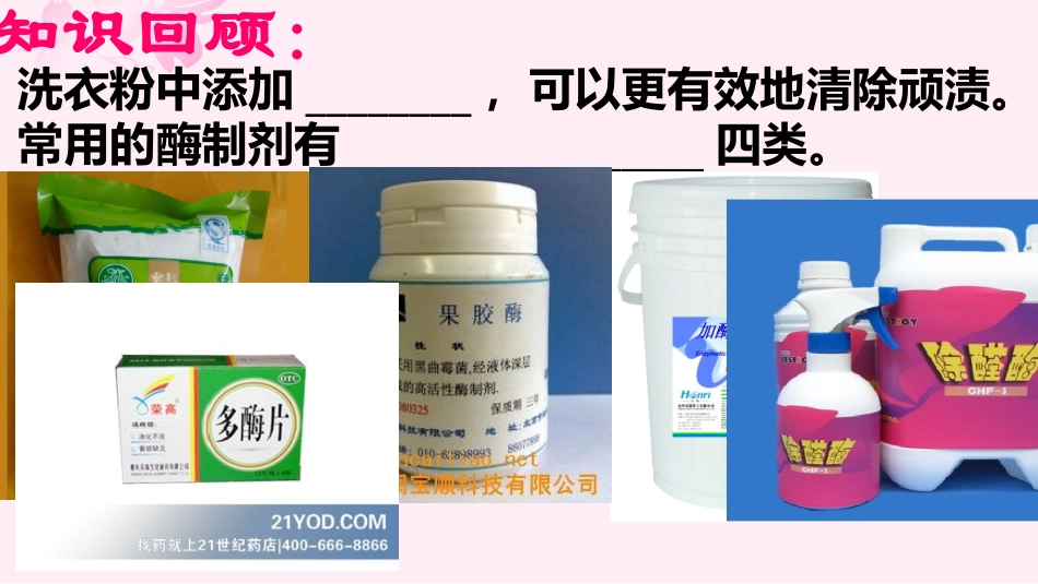 酵母细胞的固定化_第2页