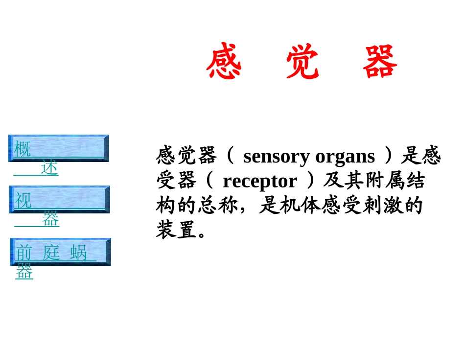 解剖学感觉器视器_第1页